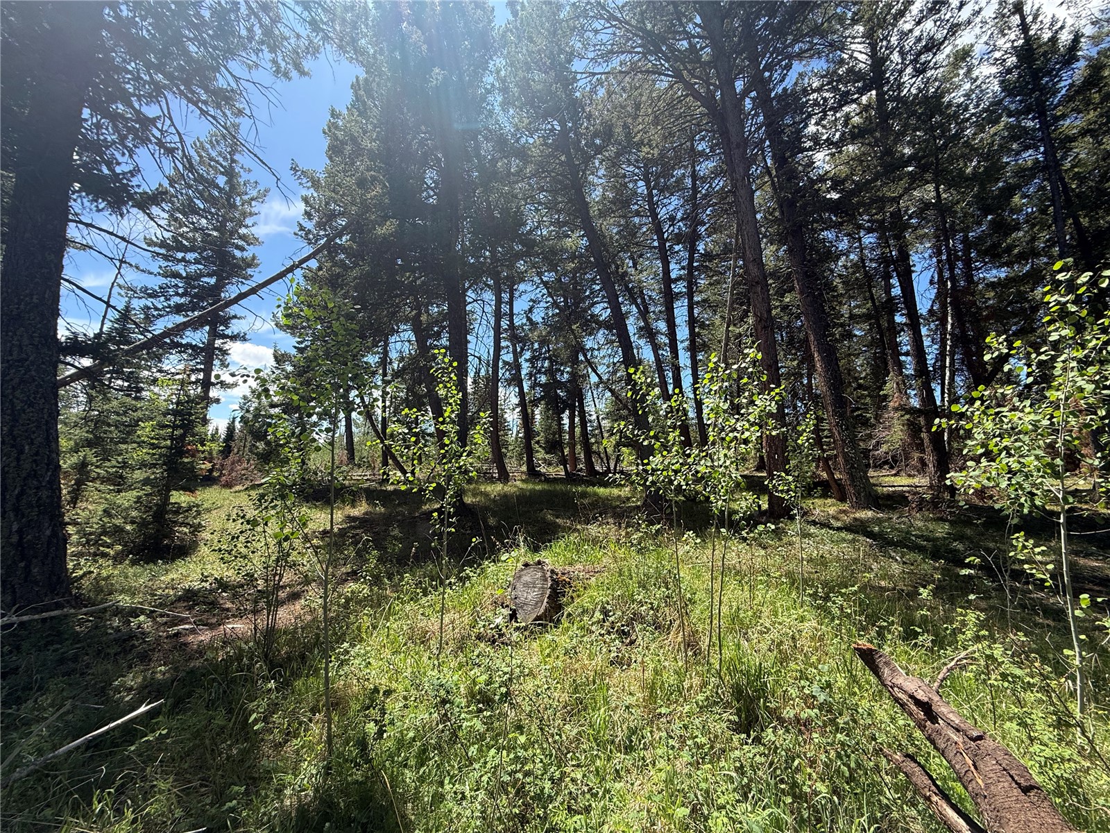 Tbd Spring Creek Ranch Road Silverthorne, CO 80498 - Photo 13 of 48