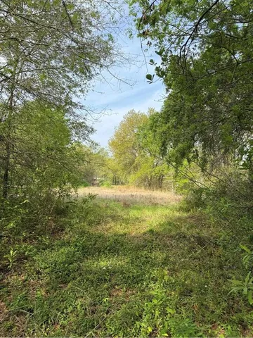 a view of lake with green space