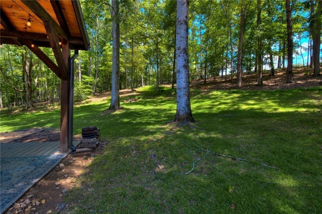 18131 Morganton Highway Morganton, GA 30560 - Photo 29 of 71 a view of a park with a tree