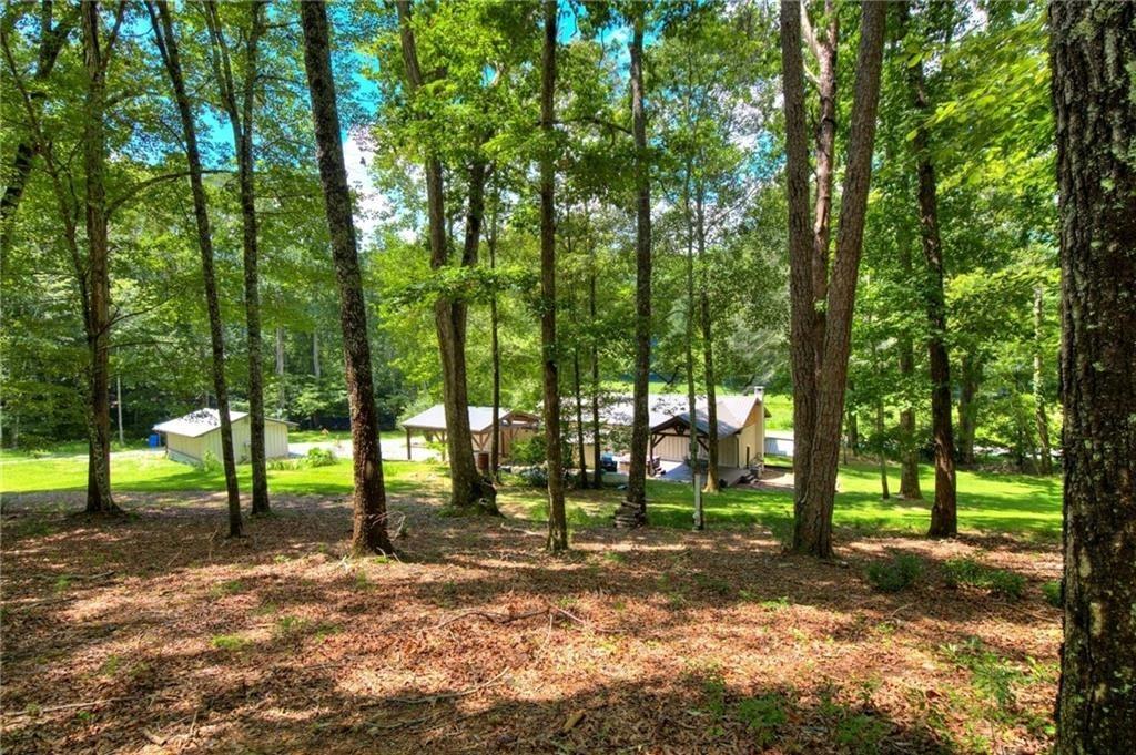 18131 Morganton Highway Morganton, GA 30560 - Photo 47 of 71 a view of a yard with green space