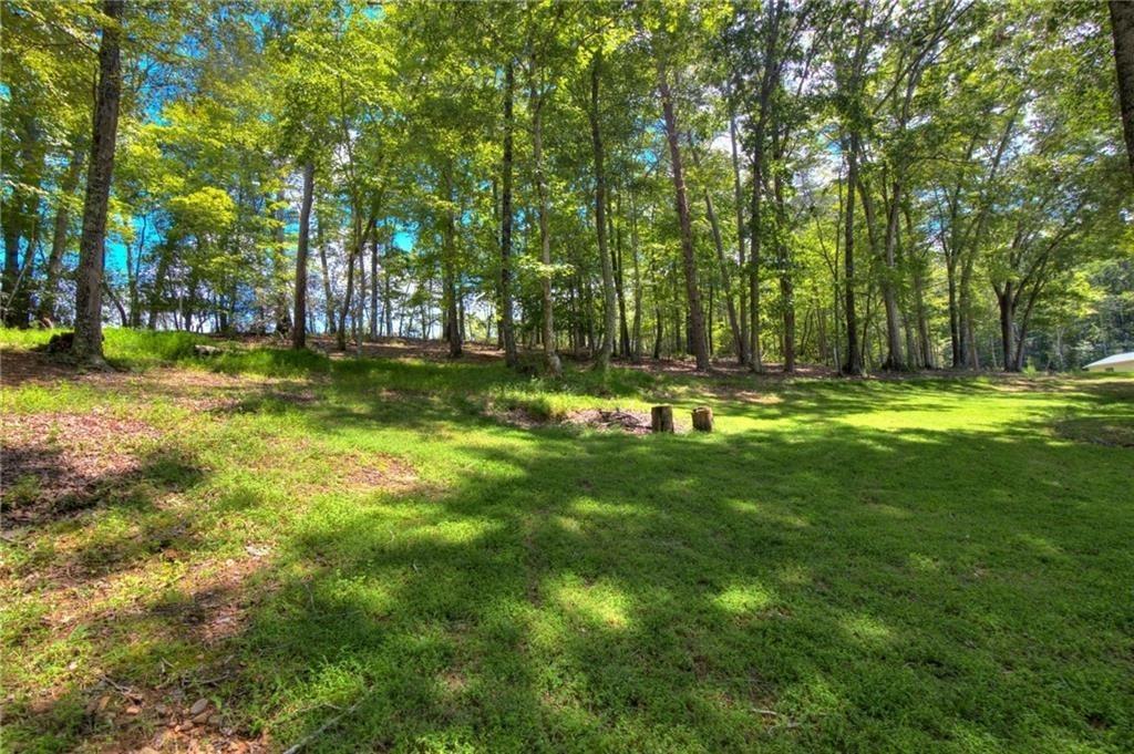 18131 Morganton Highway Morganton, GA 30560 - Photo 55 of 71 a view of a park with large trees