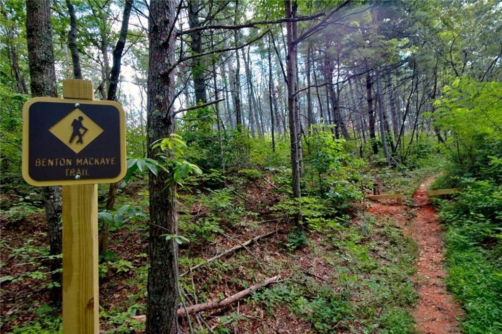 18131 Morganton Highway Morganton, GA 30560 - Photo 56 of 71