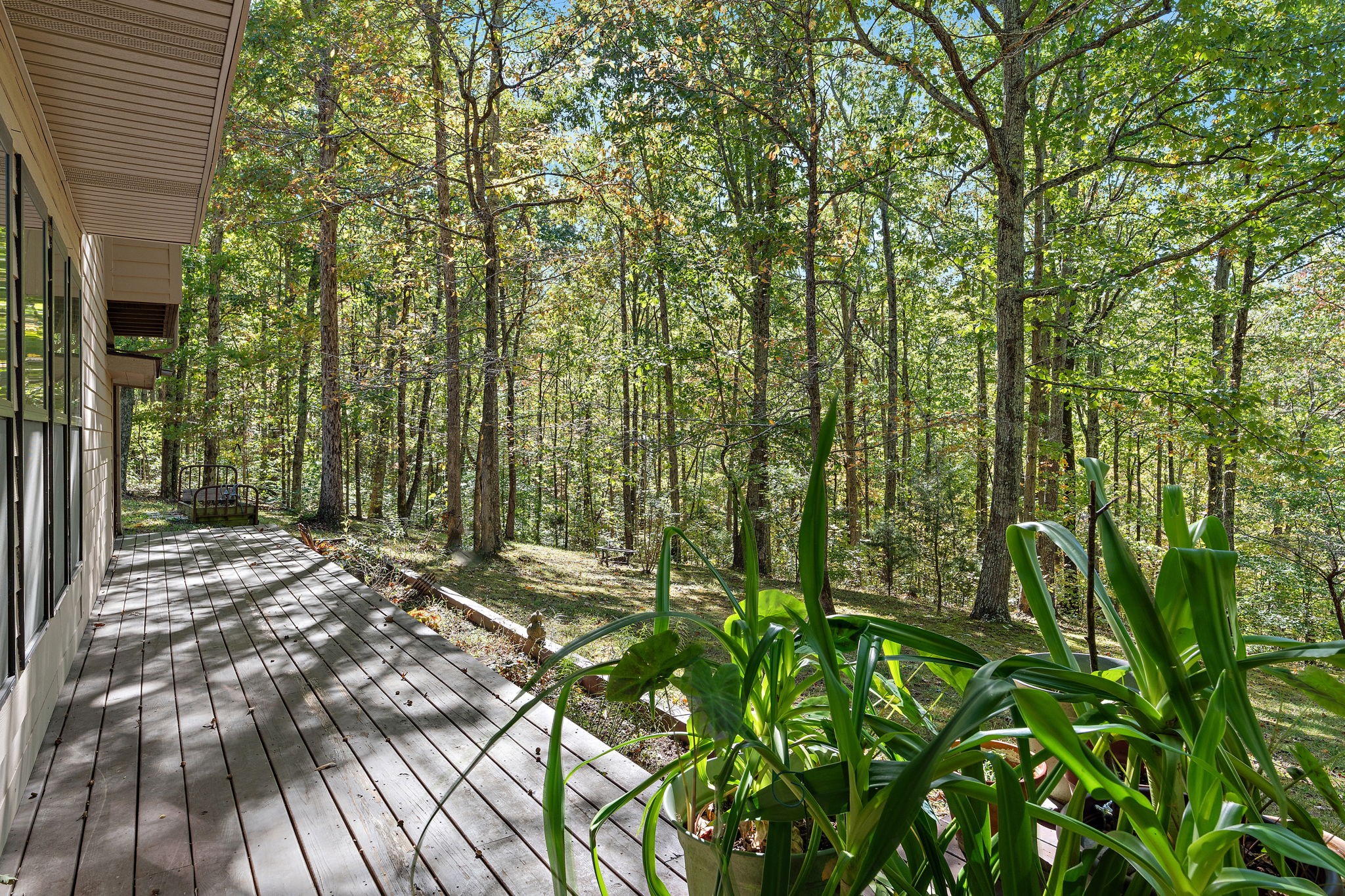 135 Shade Tree Lane Pegram, TN 37143 - Photo 37 of 50