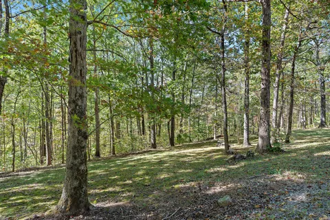 a view of outdoor space with trees