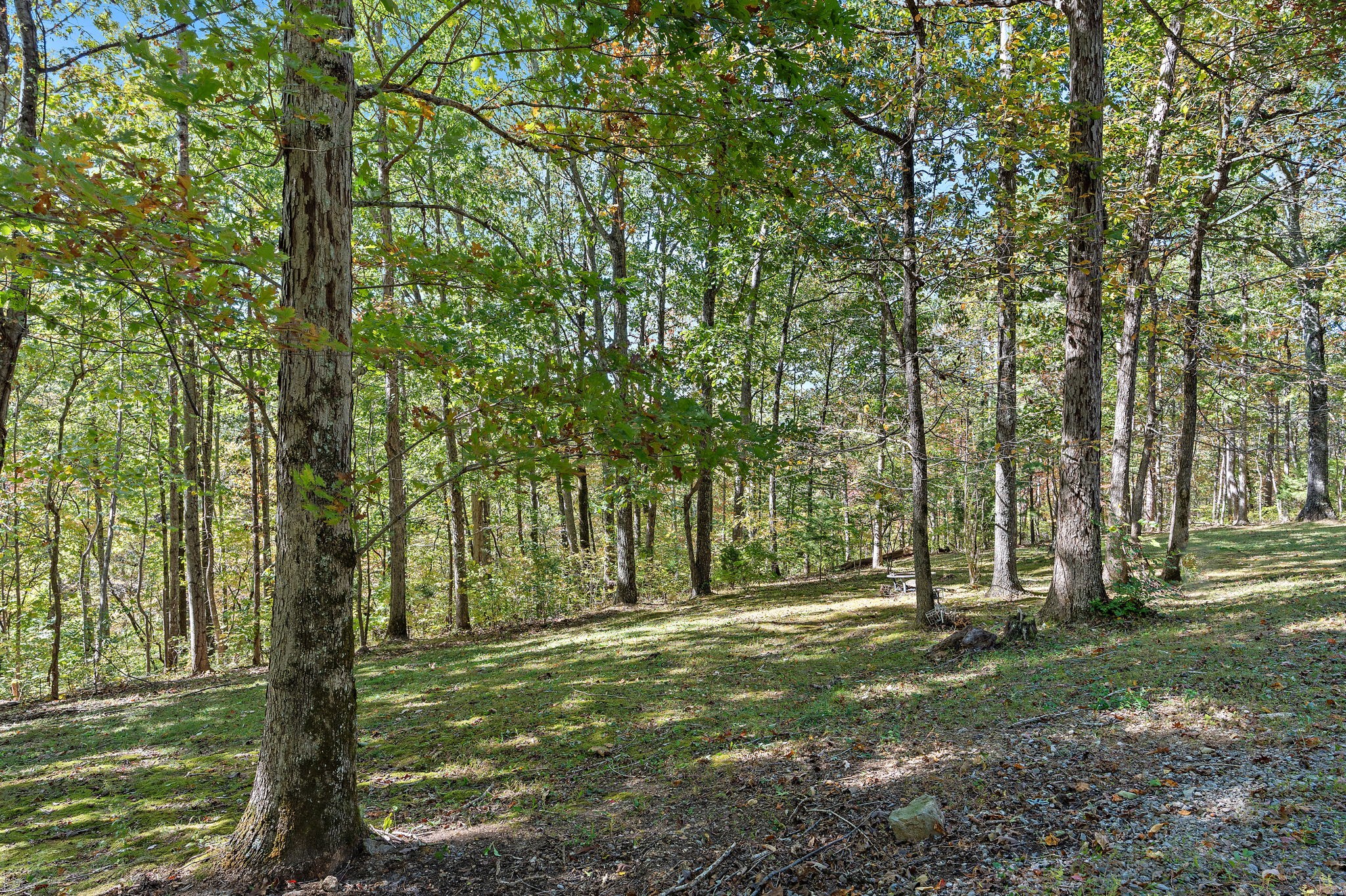 135 Shade Tree Lane Pegram, TN 37143 - Photo 44 of 50