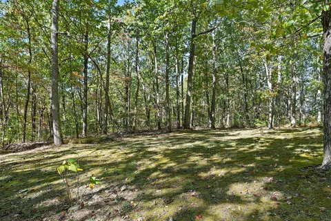 a view of a field with trees in the background