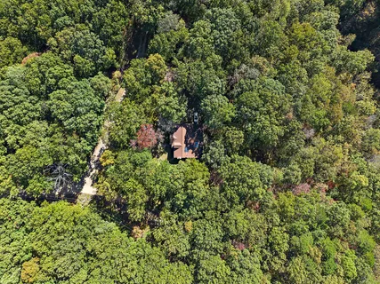 a view of a house in a forest