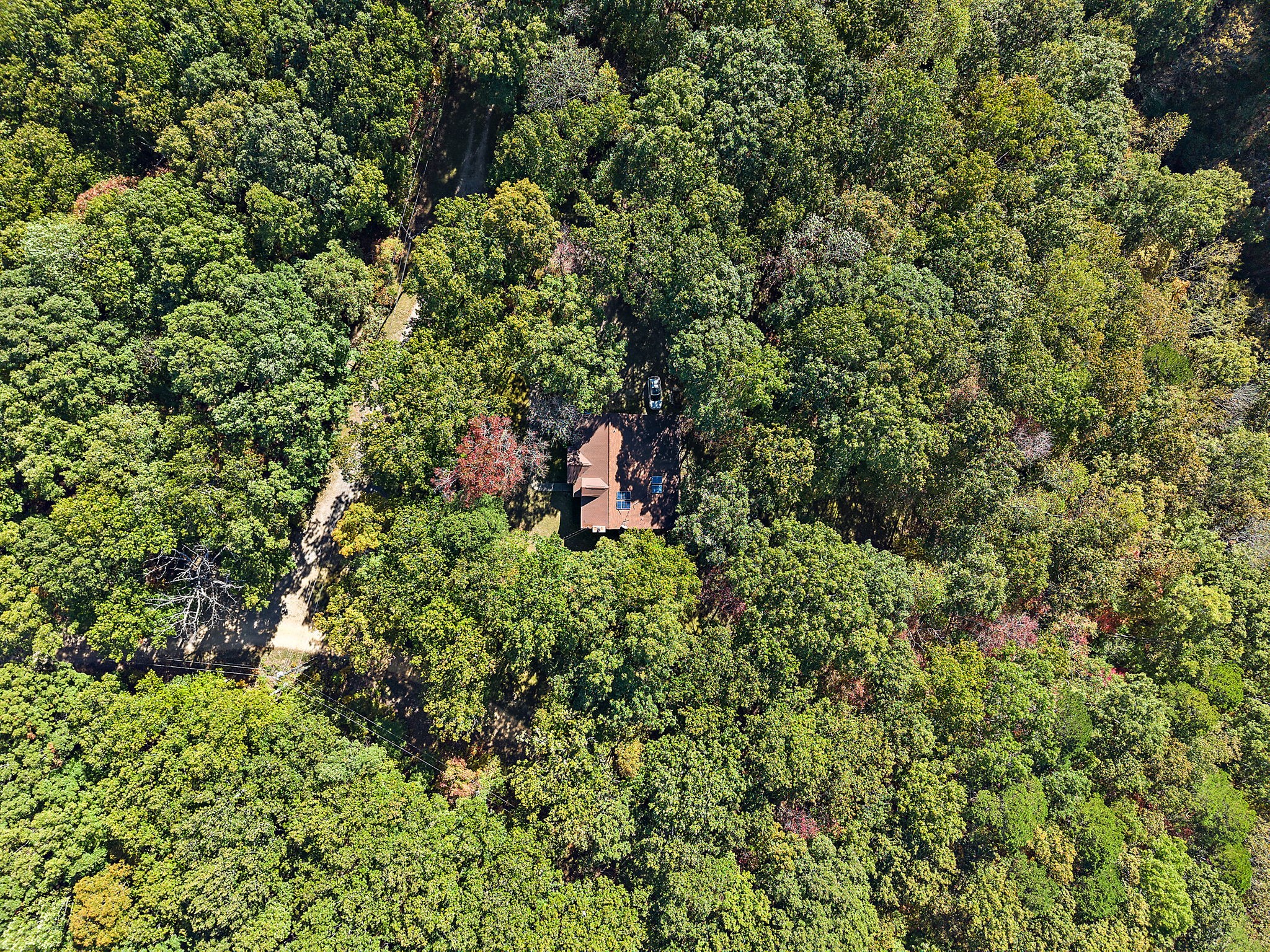 135 Shade Tree Lane Pegram, TN 37143 - Photo 46 of 50