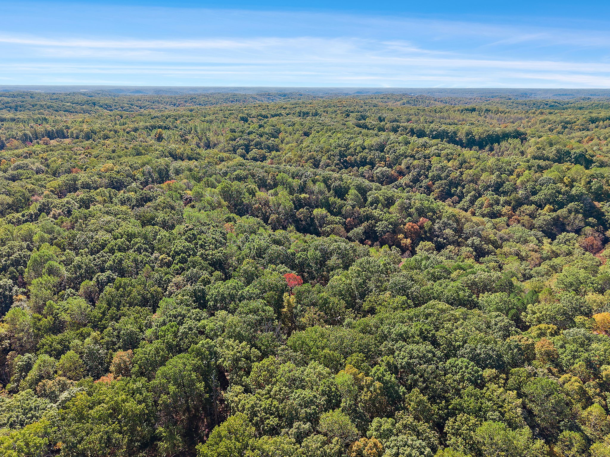 135 Shade Tree Lane Pegram, TN 37143 - Photo 47 of 50