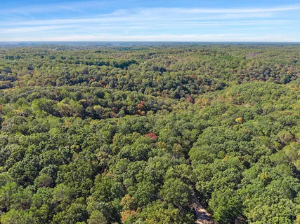 a view of a city with an ocean