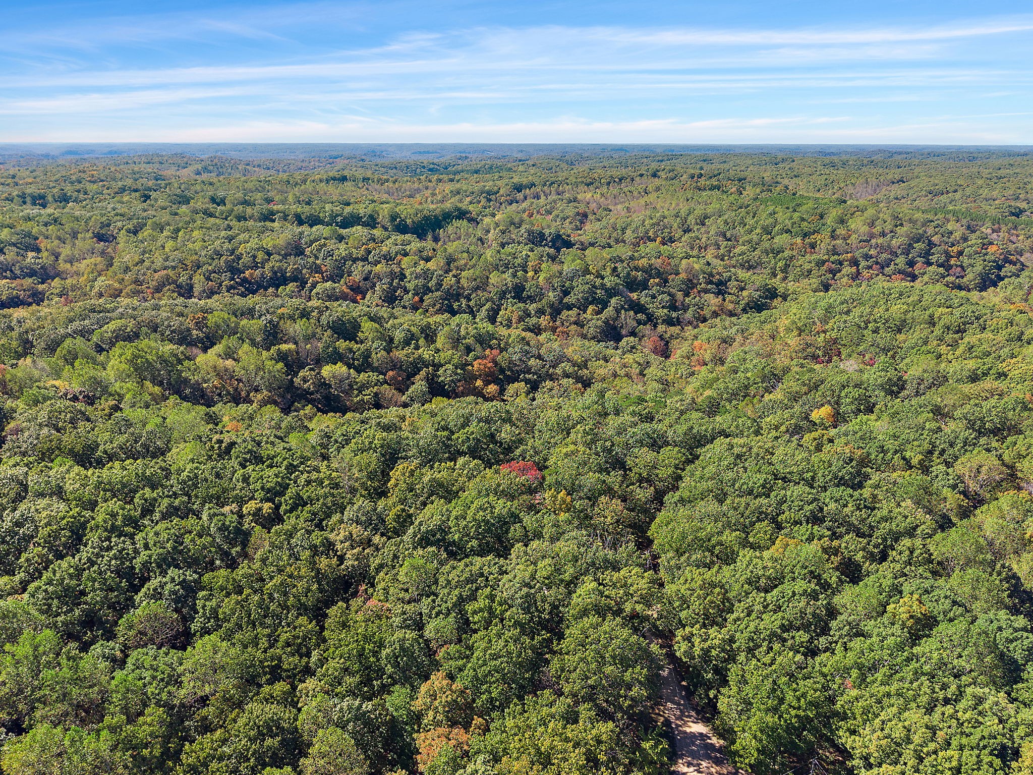 135 Shade Tree Lane Pegram, TN 37143 - Photo 48 of 50