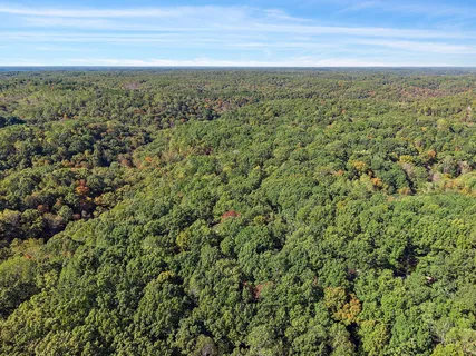a view of a city with lush green forest