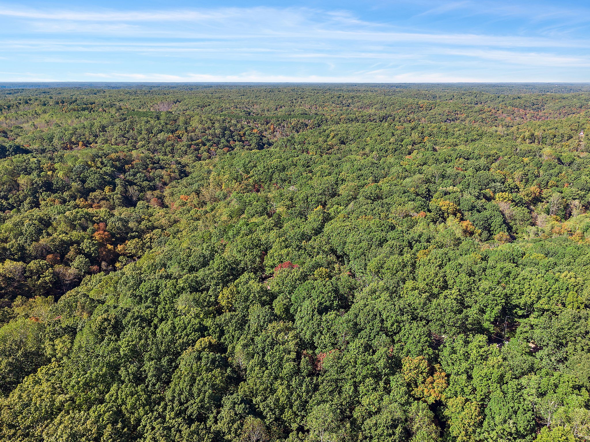 135 Shade Tree Lane Pegram, TN 37143 - Photo 49 of 50