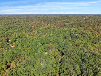 a view of a green field with lots of bushes