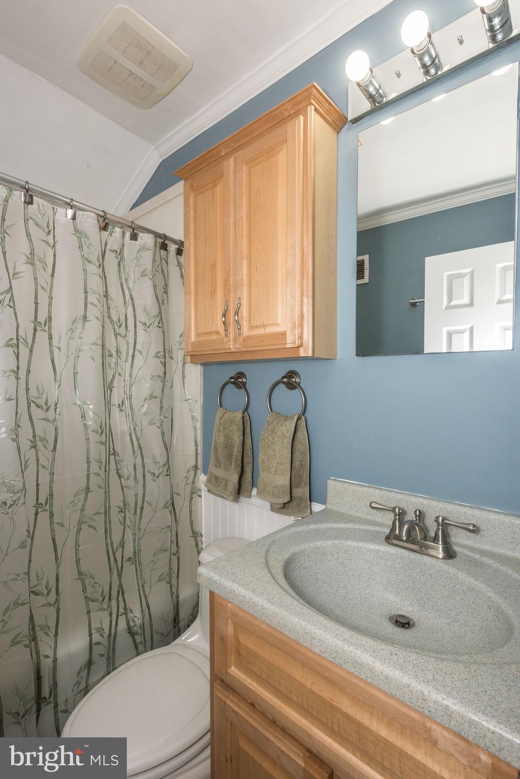 12836 Flack Street Silver Spring, MD 20906 - Photo 26 of 30 Bath