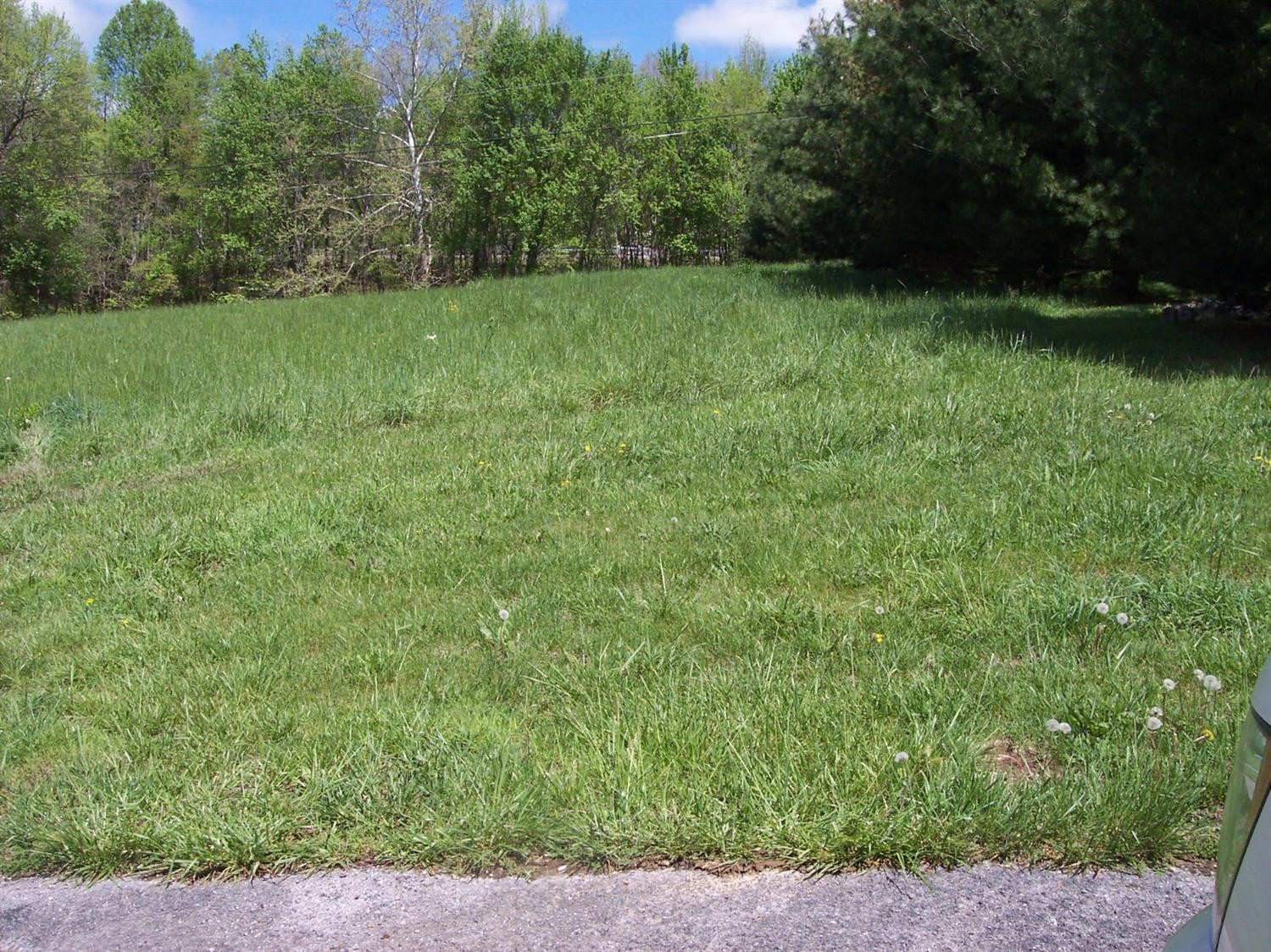 1116 East Laurel Road London, KY 40741 - Photo 1 of 12 Photo 1