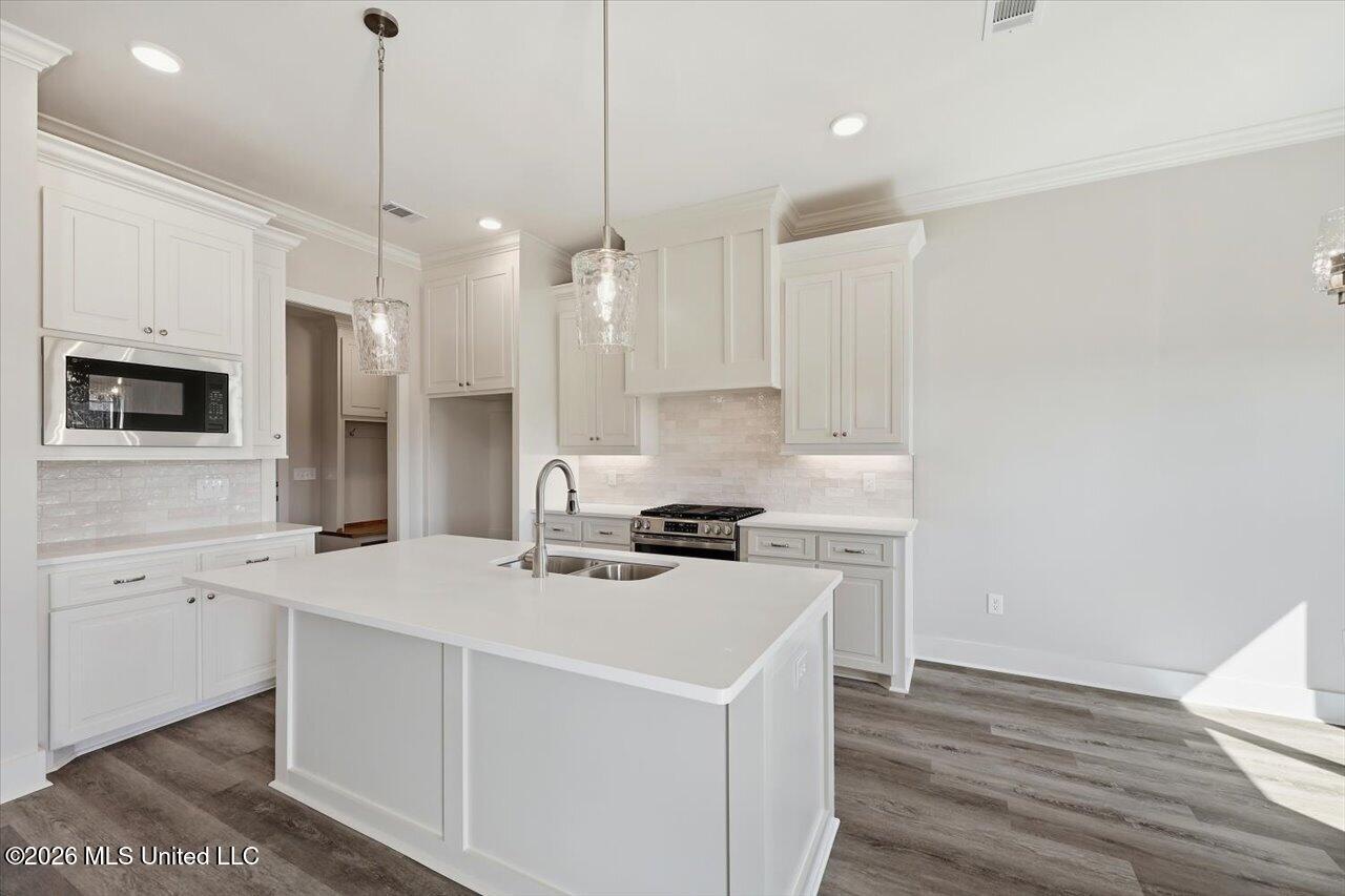 310 Stronghold Drive Brandon, MS 39042 - Photo 11 of 31 11-310 Stronghold Dr _ Home Tours MS