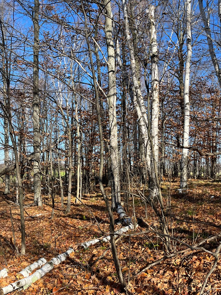 South Highland Road Fish Creek, WI 54212 - Photo 7 of 10