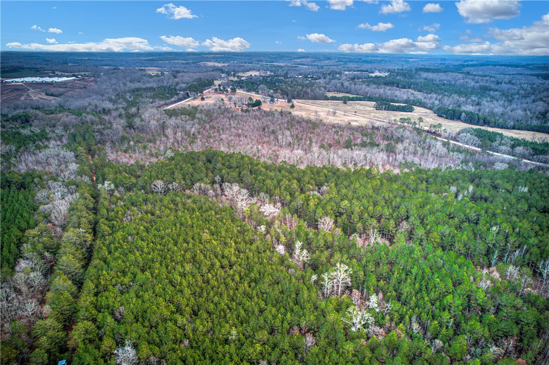 2820 Smith McGee Road Iva, SC 29655 - Photo 3 of 25