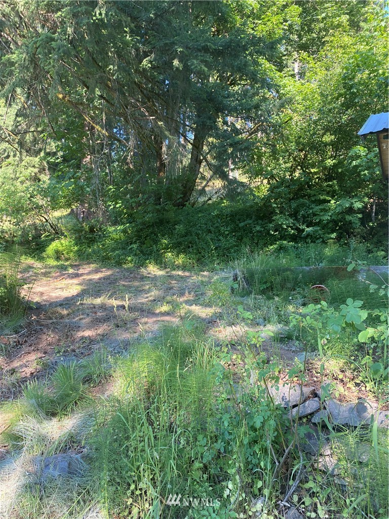 1379 Ferrier Road Winlock, WA 98596 - Photo 3 of 5