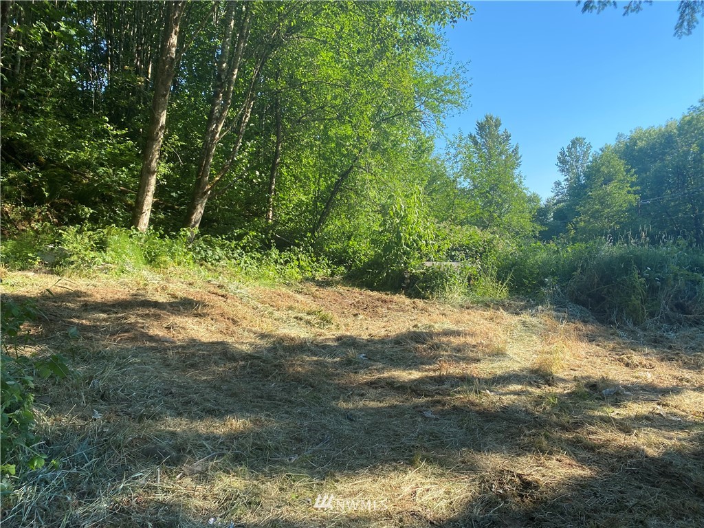 1379 Ferrier Road Winlock, WA 98596 - Photo 4 of 5