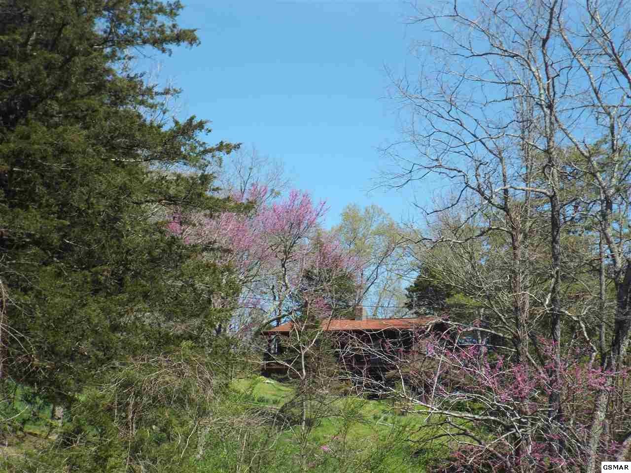 620 Whites School Road Sevierville, TN 37876 - Photo 2 of 26 Gallery Image 2