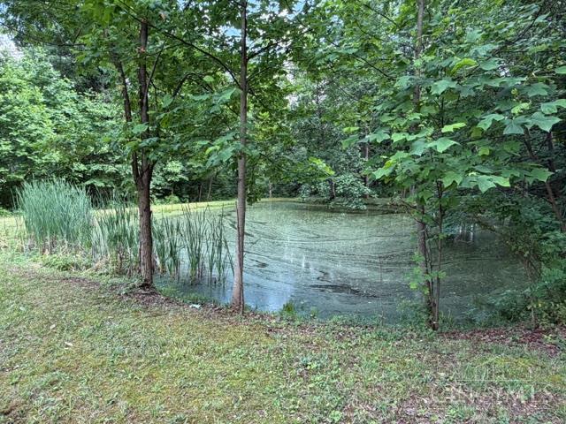 2133 Davis Road Bainbridge, OH 45612 - Photo 16 of 20