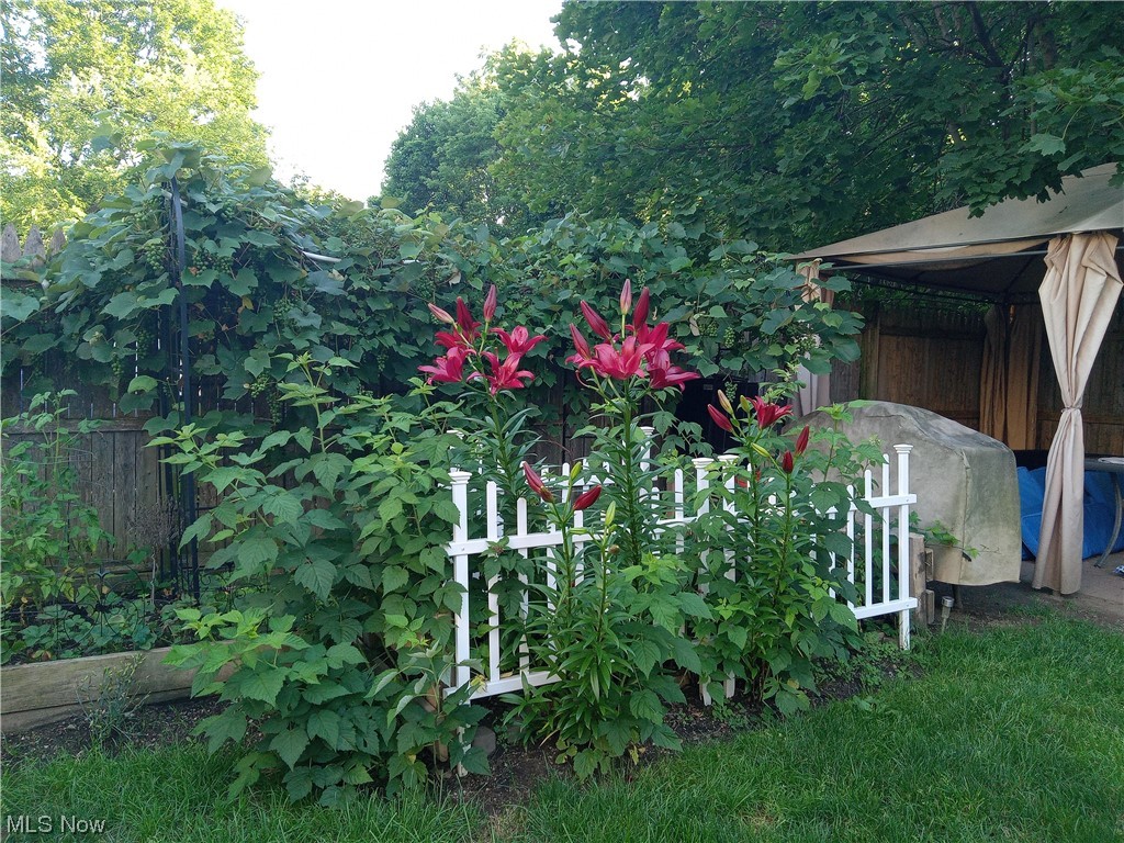 596 Rhodes Avenue Akron, OH 44307 - Photo 16 of 17 View of yard