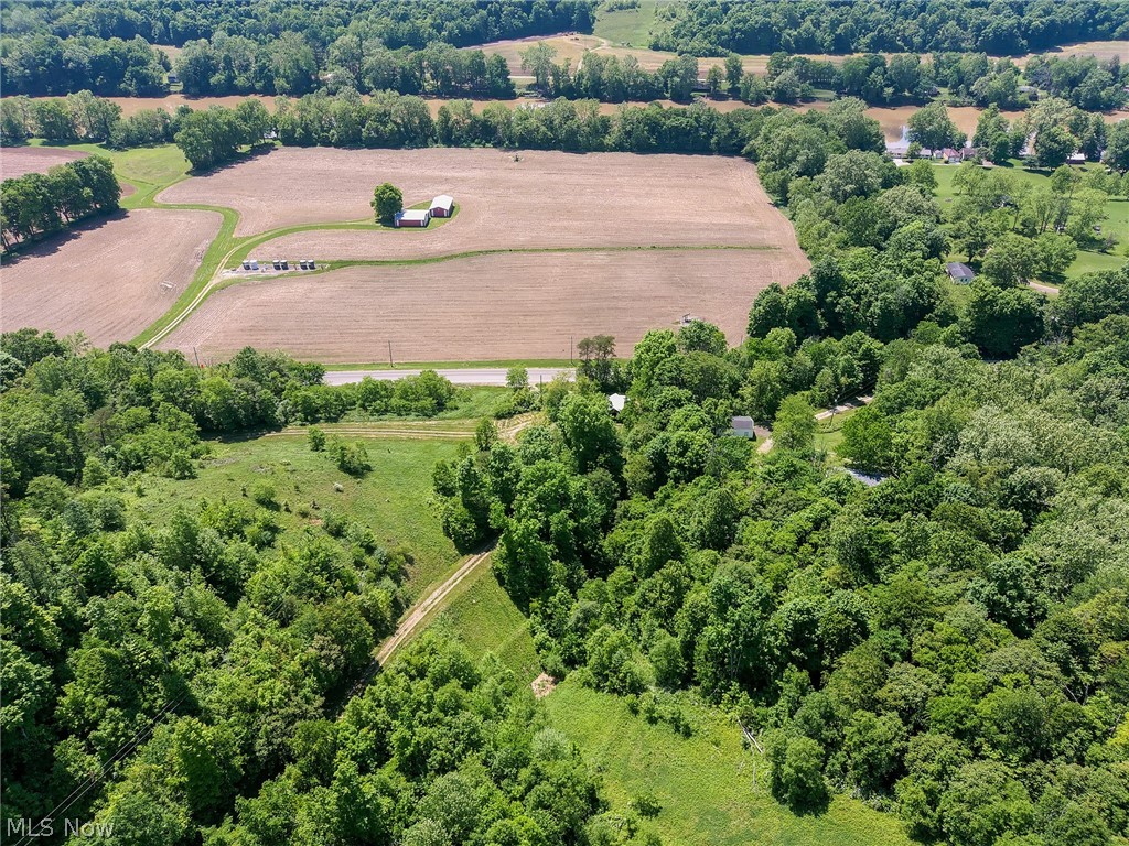 6816 South River Road Blue Rock, OH 43720 - Photo 5 of 41 View of bird's eye view