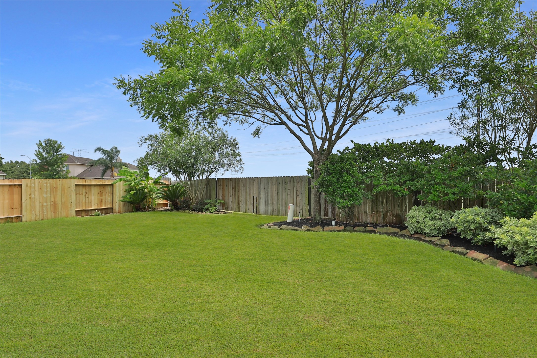 9603 Red Rugosa Drive Houston, TX 77095 - Photo 38 of 43 Enormous Backyard with no neighbors behind!