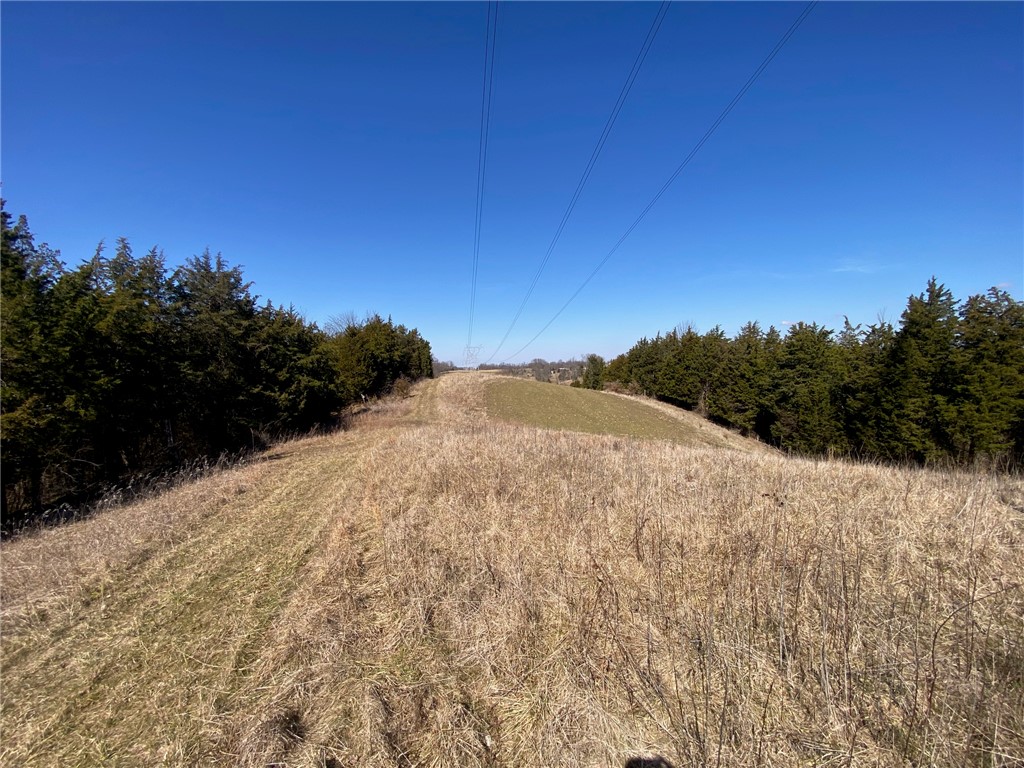 43 Old State Road Manchester, OH 45144 - Photo 3 of 11 Expansive natural land with abundant foliage under a clear sky.