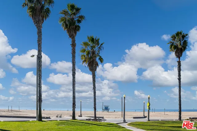 a view of a yard with palm trees
