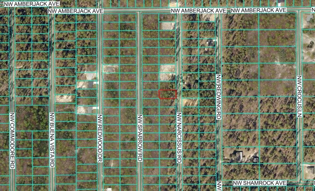 Tbd Northwest Narcissus Road Dunnellon, FL 34431 - Photo 3 of 7 a bathroom with a shower