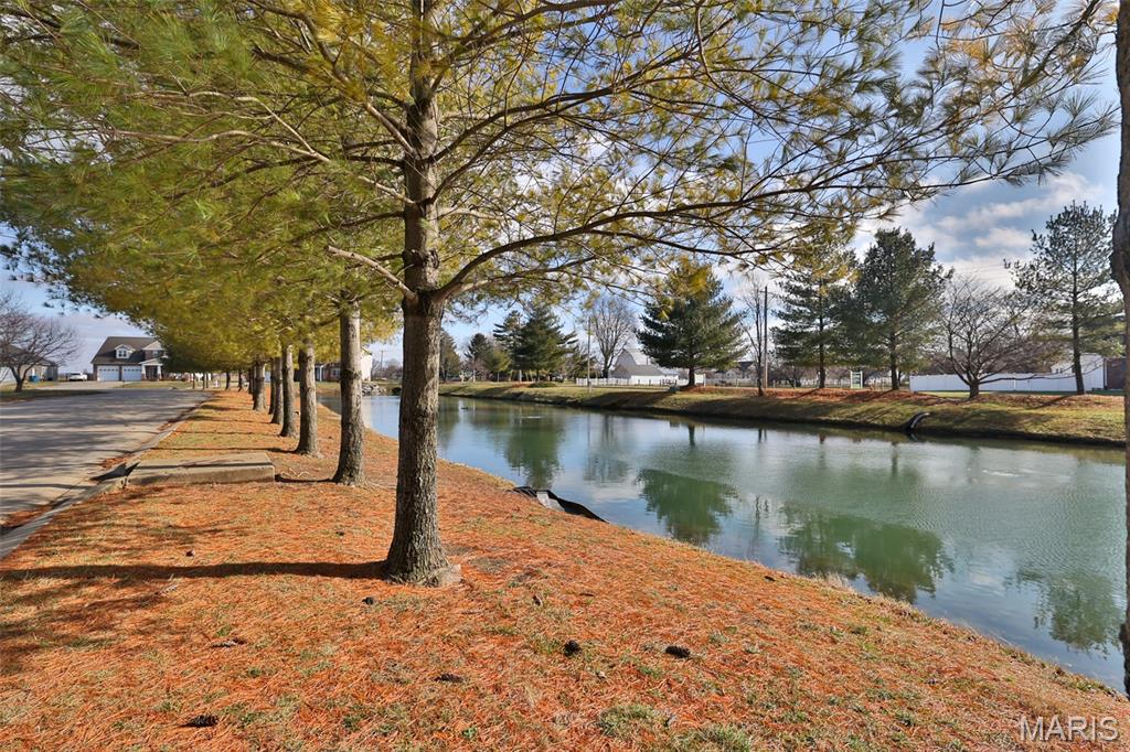 107 Gabrielle Circle Bethalto, IL 62010 - Photo 4 of 19