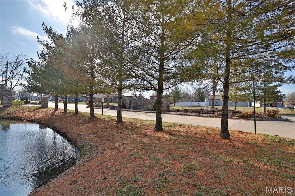 107 Gabrielle Circle Bethalto, IL 62010 - Photo 5 of 19