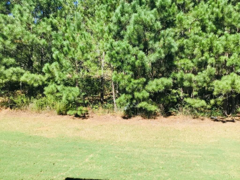 9517 Lakeview Road Union City, GA 30291 - Photo 16 of 16