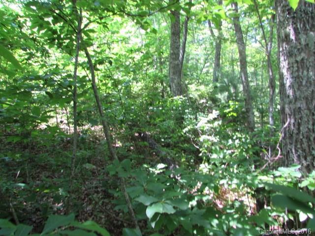 Lot#28 Trails End Road Spruce Pine, NC 28777 - Photo 2 of 18 Gallery Image 2
