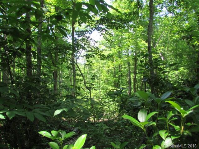 Lot#28 Trails End Road Spruce Pine, NC 28777 - Photo 3 of 18 Gallery Image 3