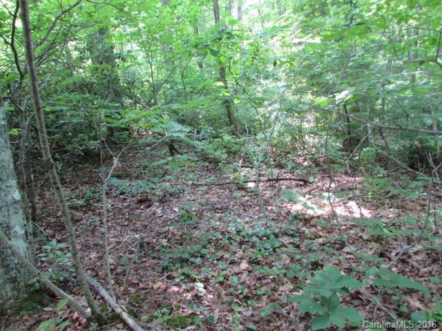 Lot#28 Trails End Road Spruce Pine, NC 28777 - Photo 8 of 18 Gallery Image 8