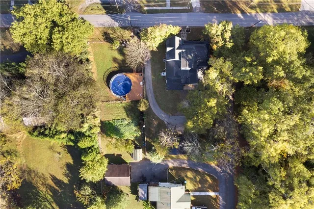 a picture of flowers