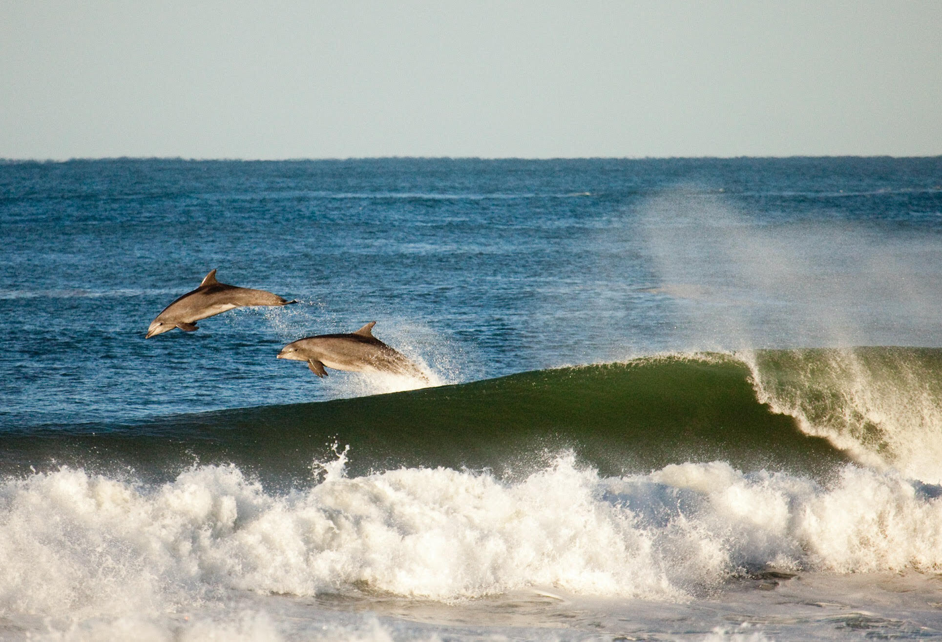 308 Cooper Road Santa Barbara, CA 93109 - Photo 30 of 41 a view of outdoor space and yard