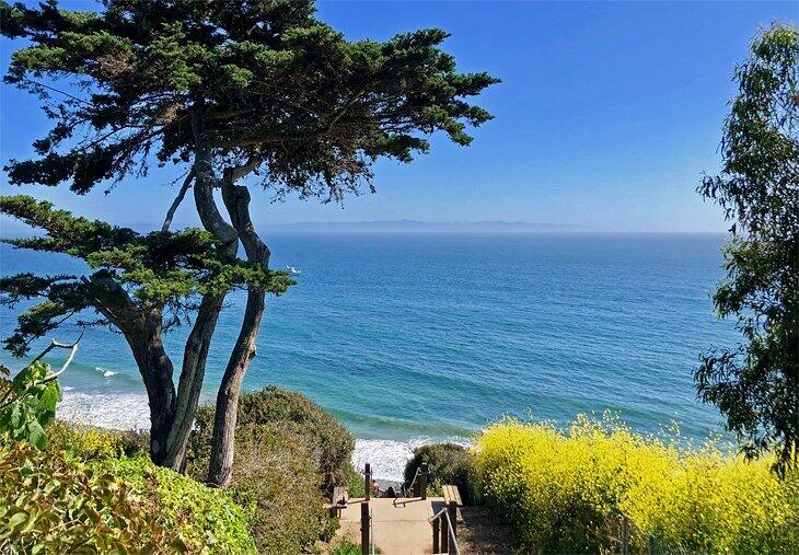 308 Cooper Road Santa Barbara, CA 93109 - Photo 41 of 41 a view of a garden