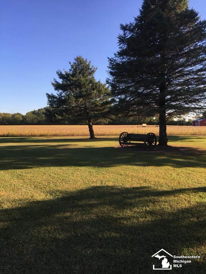 13775 Ostrander Road Maybee, MI 48159 - Photo 21 of 66