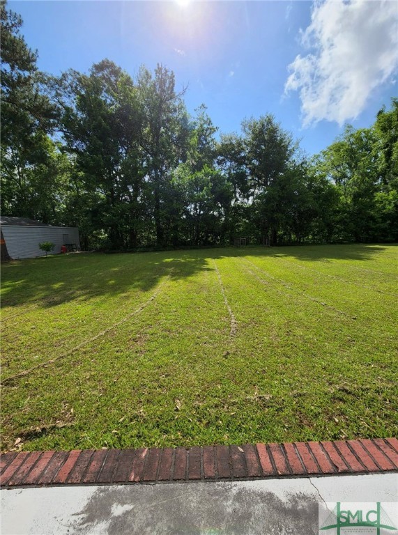 714 Altamaha Road Jesup, GA 31545 - Photo 28 of 46 Gallery Image 28