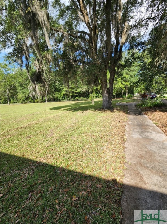 714 Altamaha Road Jesup, GA 31545 - Photo 4 of 46 Gallery Image 4