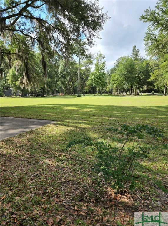 714 Altamaha Road Jesup, GA 31545 - Photo 42 of 46 Gallery Image 42