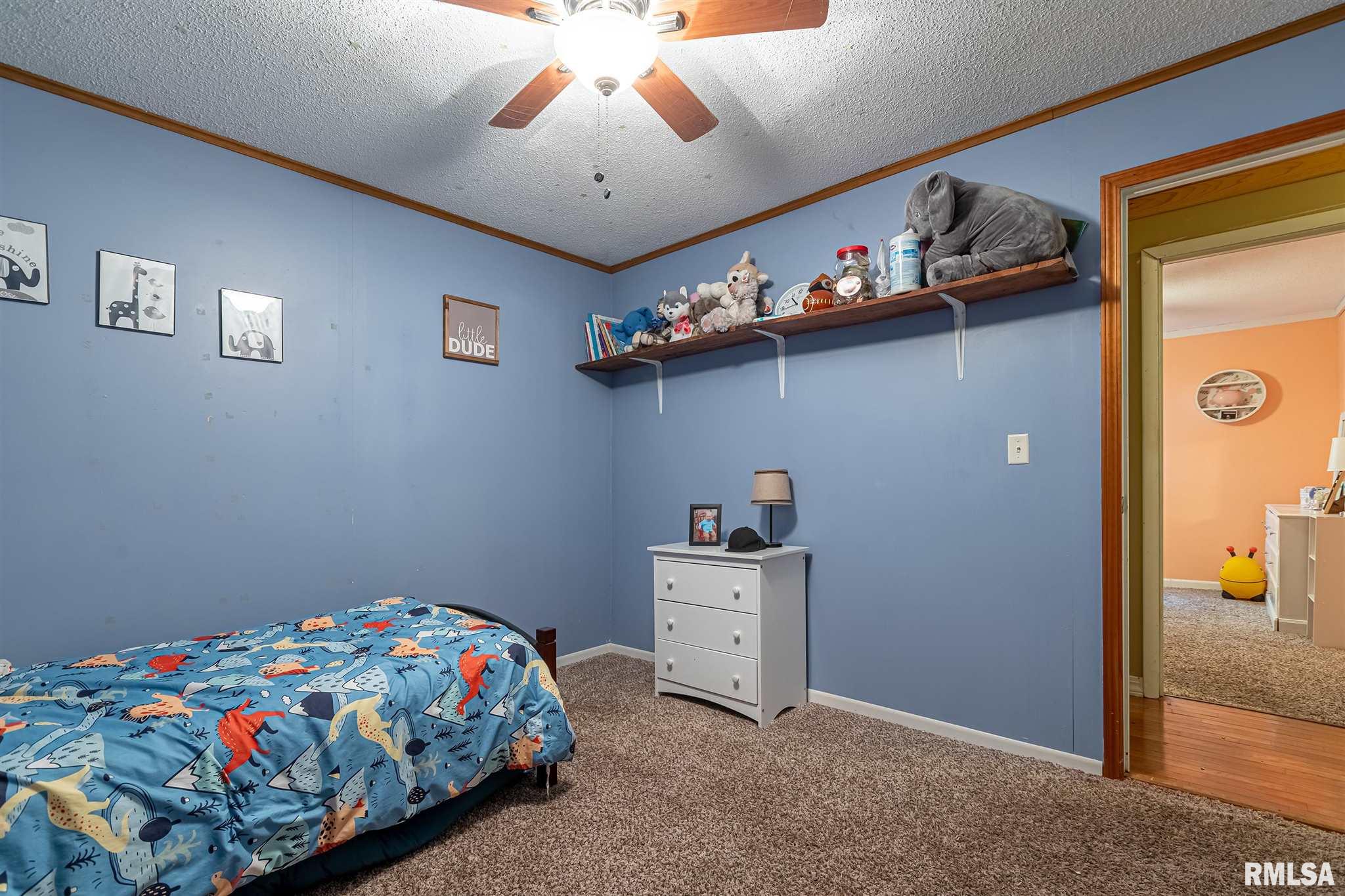 265 Country Acres Road Eldorado, IL 62930 - Photo 22 of 33