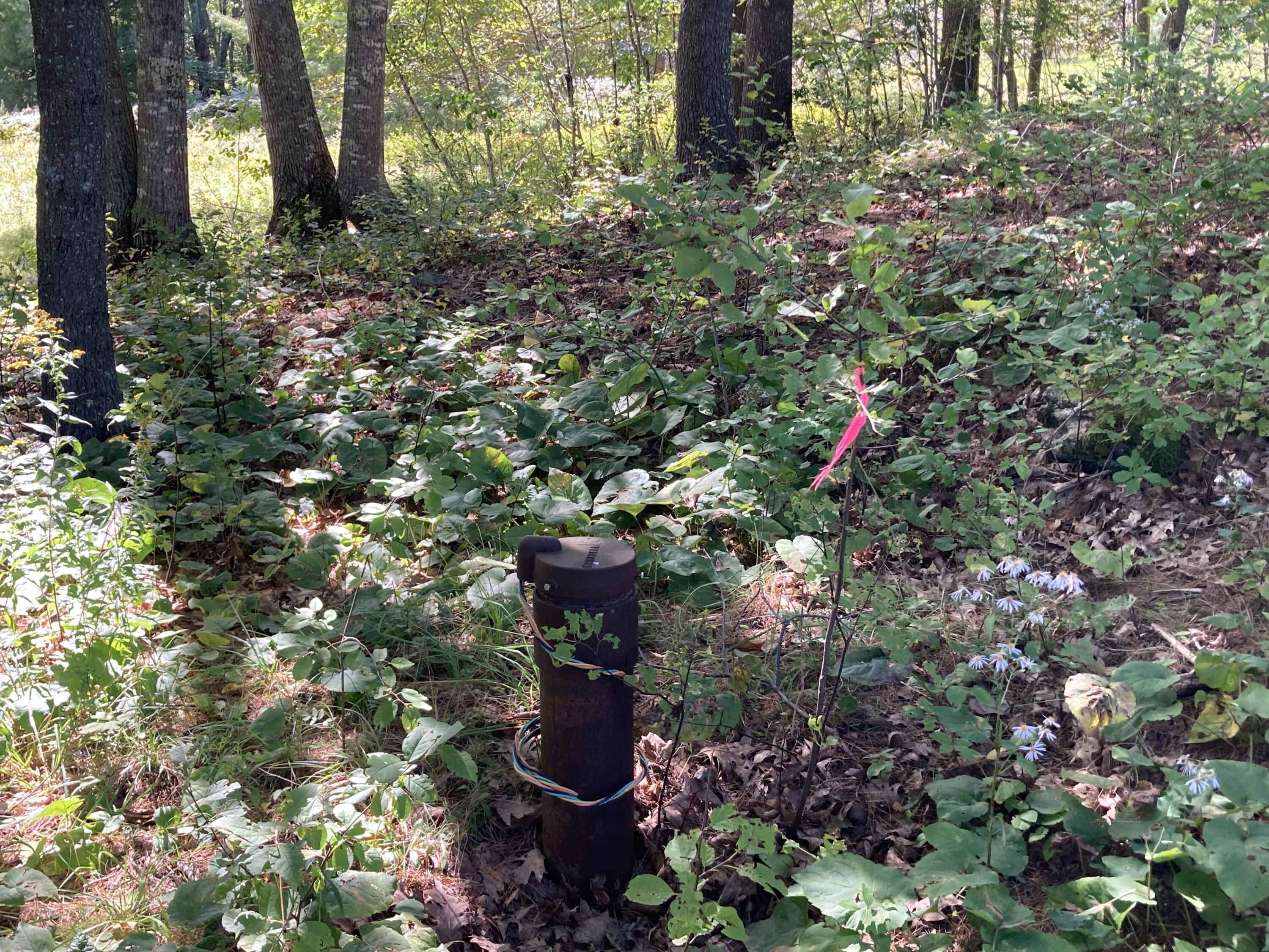 0 Surry Road Surry, ME 04684 - Photo 22 of 52 IMG_2748