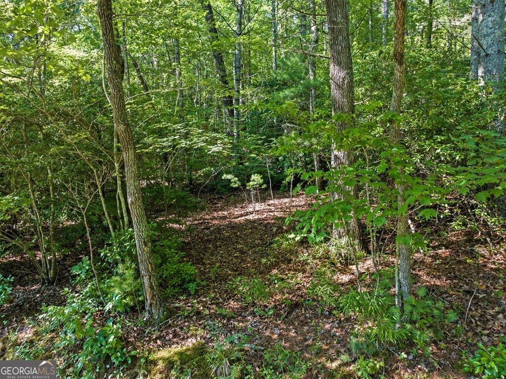 2-ac Ritchie Creek Road Blue Ridge, GA 30513 - Photo 5 of 12