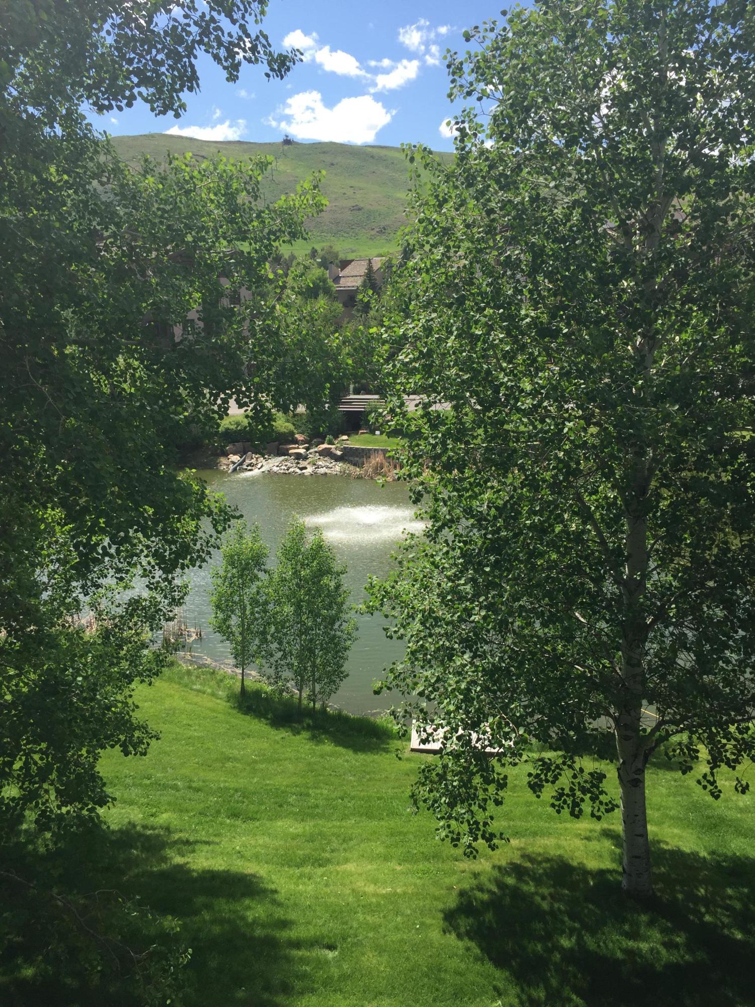 2247 Bonne Vie Condo Road Sun Valley, ID 83353 - Photo 1 of 1 Pond